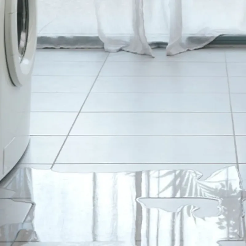 Appliance Leak Cleanup in Silver Lake, NC