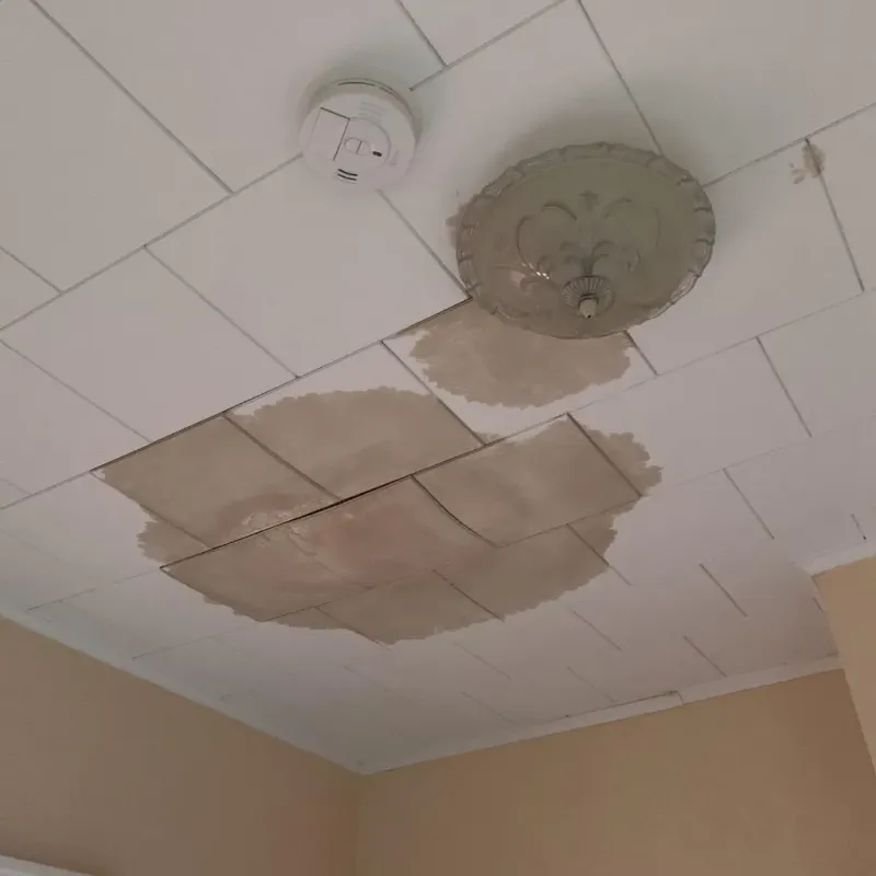 Ceiling Water Damage Repair in Silver Lake, NC