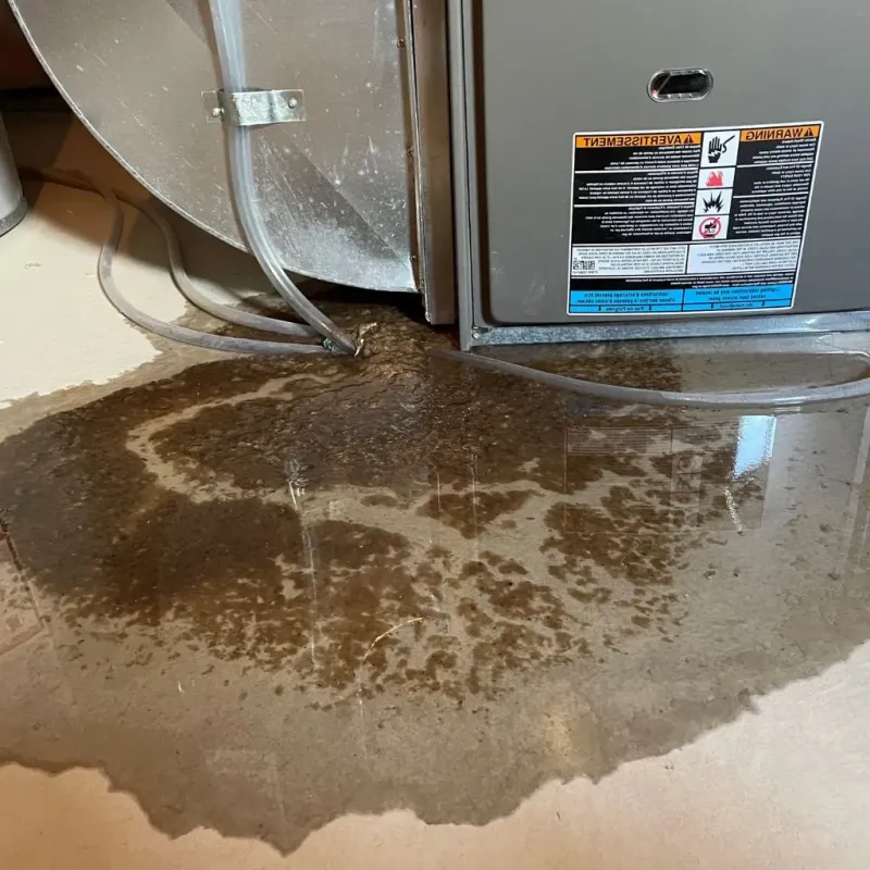 Pipe Burst and Leak Restoration in Silver Lake, NC