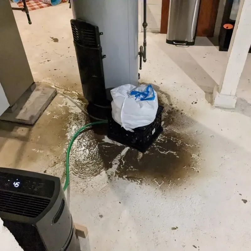 Sewage Backup Cleanup Service in Silver Lake, NC